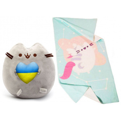 Комплект 2Life М'яка іграшка Pusheen cat 23х25 см та рушник 50х100 см v-12357 Киев