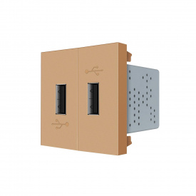 Механізм подвійна розетка USB з блоком живлення Livolo золото (VL-FCUA-2AP)