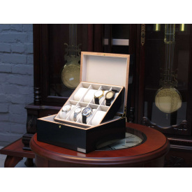 Шкатулка для зберігання годинників Salvadore WB/5598/8.CBN Сірий