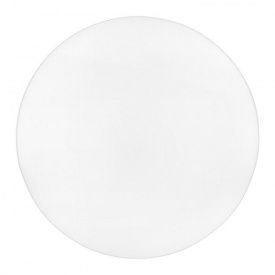 Светильник светодиодный Biom DL-R102-24-6 6200K 24Вт без д/у (00-00023291)