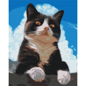 Картина за номерами BrushMe 