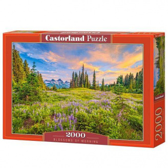Пазли Castorland Ранкові квіти 2000 елементів 92х68 см Різнокольоровий C-200863