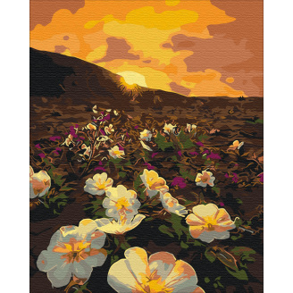 Картина за номерами BrushMe 