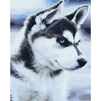Картина за номерами BrushMe 