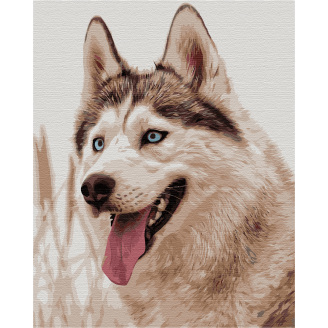 Картина за номерами BrushMe 