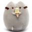 Комплект М'яка іграшка кіт з морозивом Pusheen cat і Антистрес іграшка Mokuru (vol-724) Гуляйполе