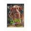 Пазл класичний "Harry Potter. Доббі" DoDo Toys 200497 250 елементів Київ