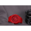 Годинник Casio G-SHOCK GA-2100-4AER Запорожье