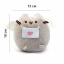 Набір М'яка іграшка Pusheen cat з листом Gray і дитячий силіконовий браслет від комарів (vol-1089) Червоноград