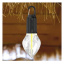 Лампа з карабіном UKC 9061 Camping Lamp LED-1 30151344 Акимовка