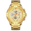 Часы мужские наручные Naviforce Golden Gate NF9165 Gold NF9165 G/G (15210-hbr) Винница
