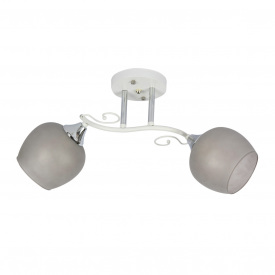 Люстра стельова Sunlight N5993/2 Сірий