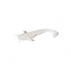 Приманка силикон Catfish 2in 10pcs., #081 - Pearl 10051118