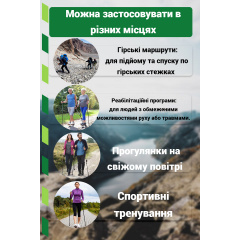 Палки для скандинавской ходьбы PowerPlay 9105 Sisu 80-135 см Black Gold Чорноморськ