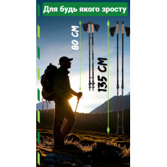 Палки для скандинавской ходьбы PowerPlay 9105 Sisu 80-135 см Black Gold Чорноморськ