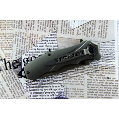 Нож Складной Strider Knives 313 (349255) Балаклія