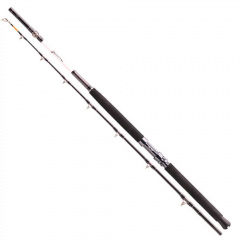 Вудилище бортове Daiwa Tanacom 2.1м 400-1000г/ (921784/11806-215) Энергодар