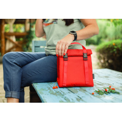 Термосумка Фастекс VS Thermal Eco Bag красный Миргород