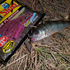 Приманка силикон Lucky John Unagi Slug 2.5in / 63мм / 10шт / цвет F13 140304-F13 Ужгород