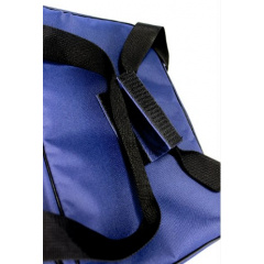 Термосумка МАКСИ VS Thermal Eco Bag Мукачево