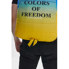 Рюкзак Матрас Intruder Голубо-Желтый Colors of Freedom (1851076487) Мукачево