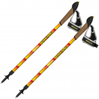 Палки для скандинавской ходьбы Vipole Vario Kids S20 38 (1073-929313)