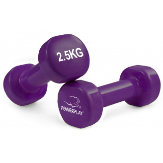 Гантели виниловые PowerPlay 4125 Achilles 2*2.5 кг Фиолетовые (2шт.)