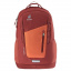 Рюкзак Deuter StepOut 2021 16 л Sienna (1052-3813021 5575) Вараш