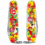 Набор подарочный детский Victorinox My First Children Set Animal Edition Parrot нож 84 мм/9 функций (0.2373.E3) Токмак