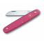 Швейцарский нож Victorinox Floral садовый 100 мм 1 функция розовый в блистре (3.9050.53B1) Чернігів