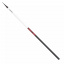 Болонська вудка Daiwa Ninja Bolo 6.00м -25г / (2164843 / 11628-615) Одеса