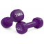 Гантели виниловые PowerPlay 4125 Achilles 2*2.5 кг Фиолетовые (2шт.) Токмак