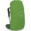 Рюкзак Osprey Kestrel 68 Bonsai Green L/XL (1054-009.3304) Шепетівка
