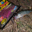 Приманка силикон Lucky John Unagi Slug 2.5in / 63мм / 10шт / цвет F13 140304-F13 Ужгород