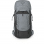 Рюкзак Osprey Talon Pro L-XL 40 л Silver Lining (1054-009.3532) Васильків