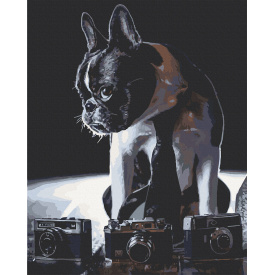 Картина за номерами Art Craft Сором'язливий фотограф 40х50 см 11642-AC