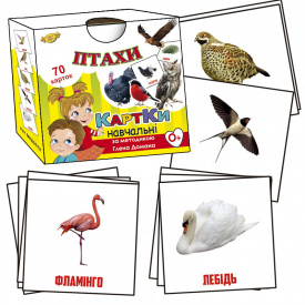 Навчальні картки Мастер Глена Домана. "Птахи" MKD0018