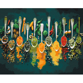Картина за номерами BrushMe "Пряні спеції" 40х50см BS52897