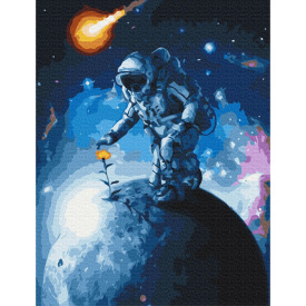 Картина за номерами BrushMe "Квіти Всесвіту" 40х50см BS38452