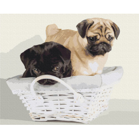 Картина за номерами BrushMe "Друзяки в кошику" 40х50см BS52643