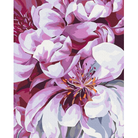 Картина за номерами Brushme Цвіт у макро зйомці 40х50 см Різнокольоровий BS51712