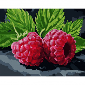 Картина за номерами з алмазною мозаїкою Santi Соковита малина 40*50 см. (954873)