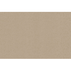 Шпалери Bravo вінілові на флізеліновій основі 81163ВR32 (1,06х10,05м.)