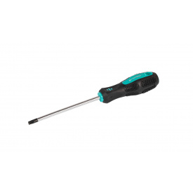 Викрутка TORX TT30*125 MASTERTOOL GM (49-0301)