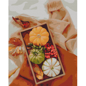 Картина за номерами BrushMe "Осінній дарунок" 40х50см BS52461