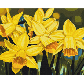 Картина за номерами BrushMe "Нарциси © Anastasiia Osmolovska" 40х50см BS53724
