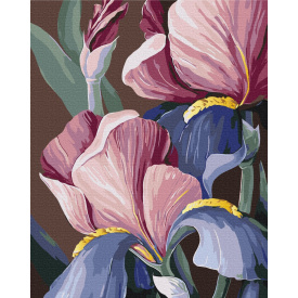 Картина за номерами BrushMe "Півники © Yana Biluhina" 40х50см BS53760