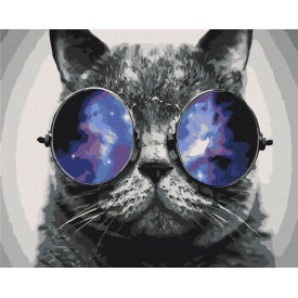 Картина за номерами BrushMe "Котик на Маямі" 40х50см BS29637