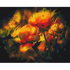 Картина за номерами BrushMe "Квітковий контраст" 40х50см BS22025