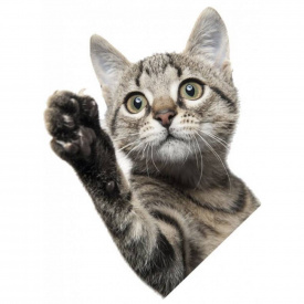 Наклейка 3D UKC в туалет Котик KH-09 29x21 см